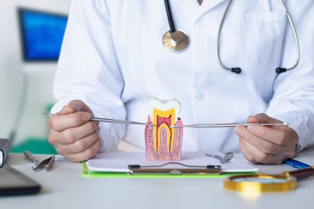 Best Emergency Root Canal Treatment in South Williamsport, PA